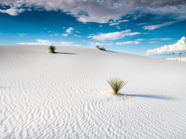 White Sands New Mexico Raychel Sanner