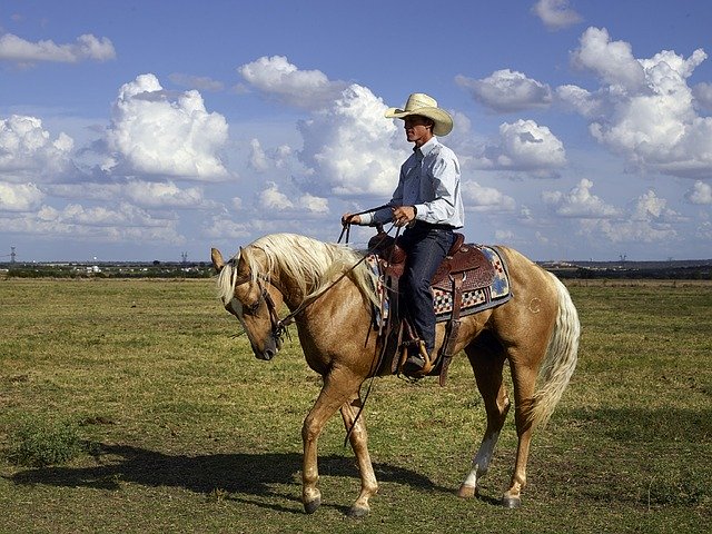 Paard cowboy