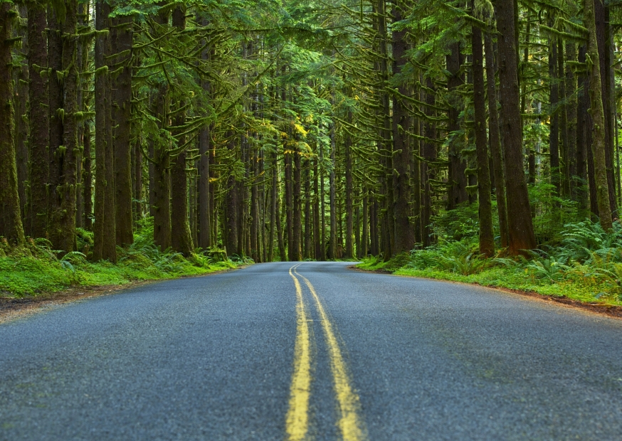 Olympic National Park | Campers Amerika