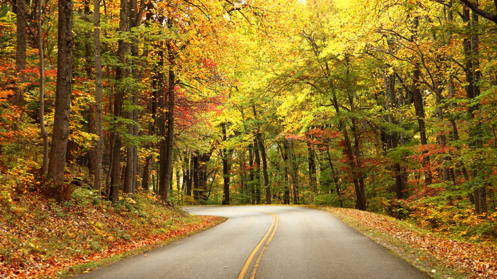 Blue Ridge Parkway