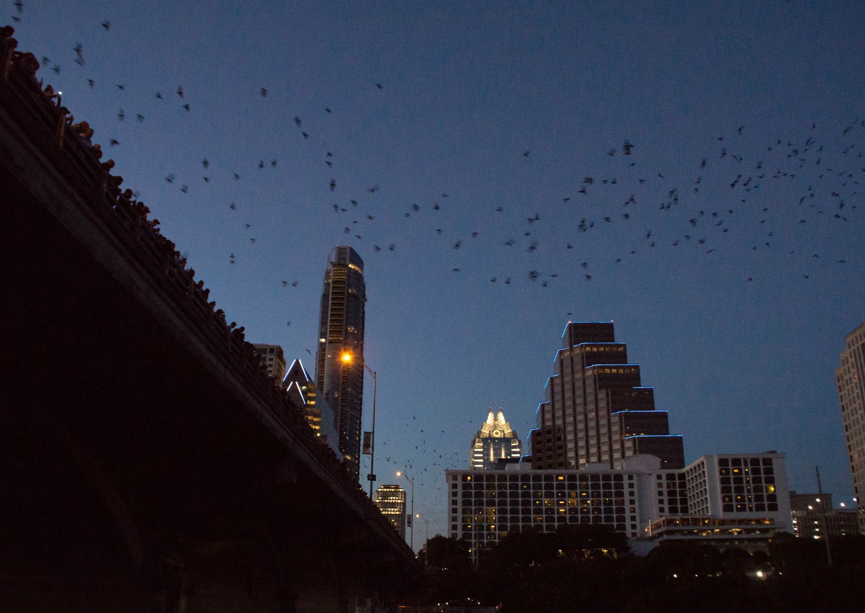 Austin vleermuizen | Campers Amerika