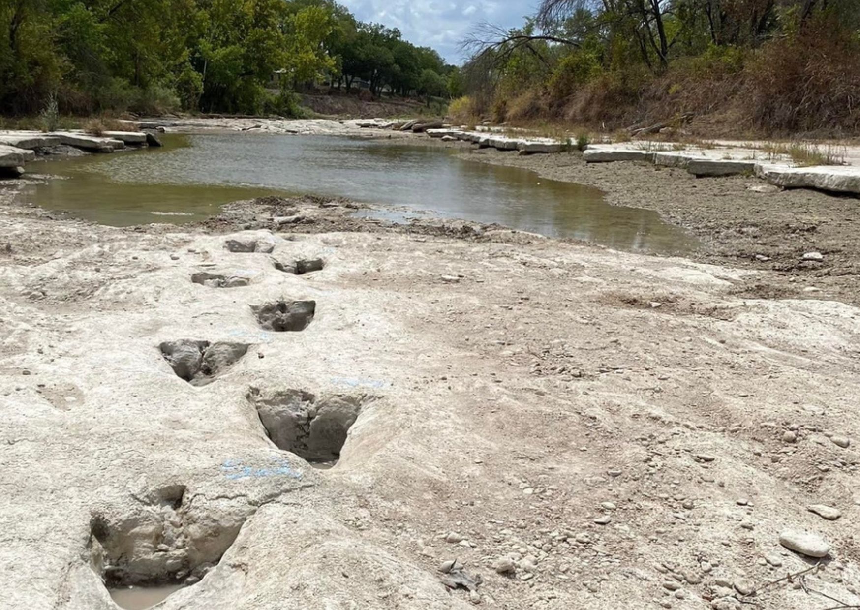 Dinosaur Valley State Park | Campers Amerika