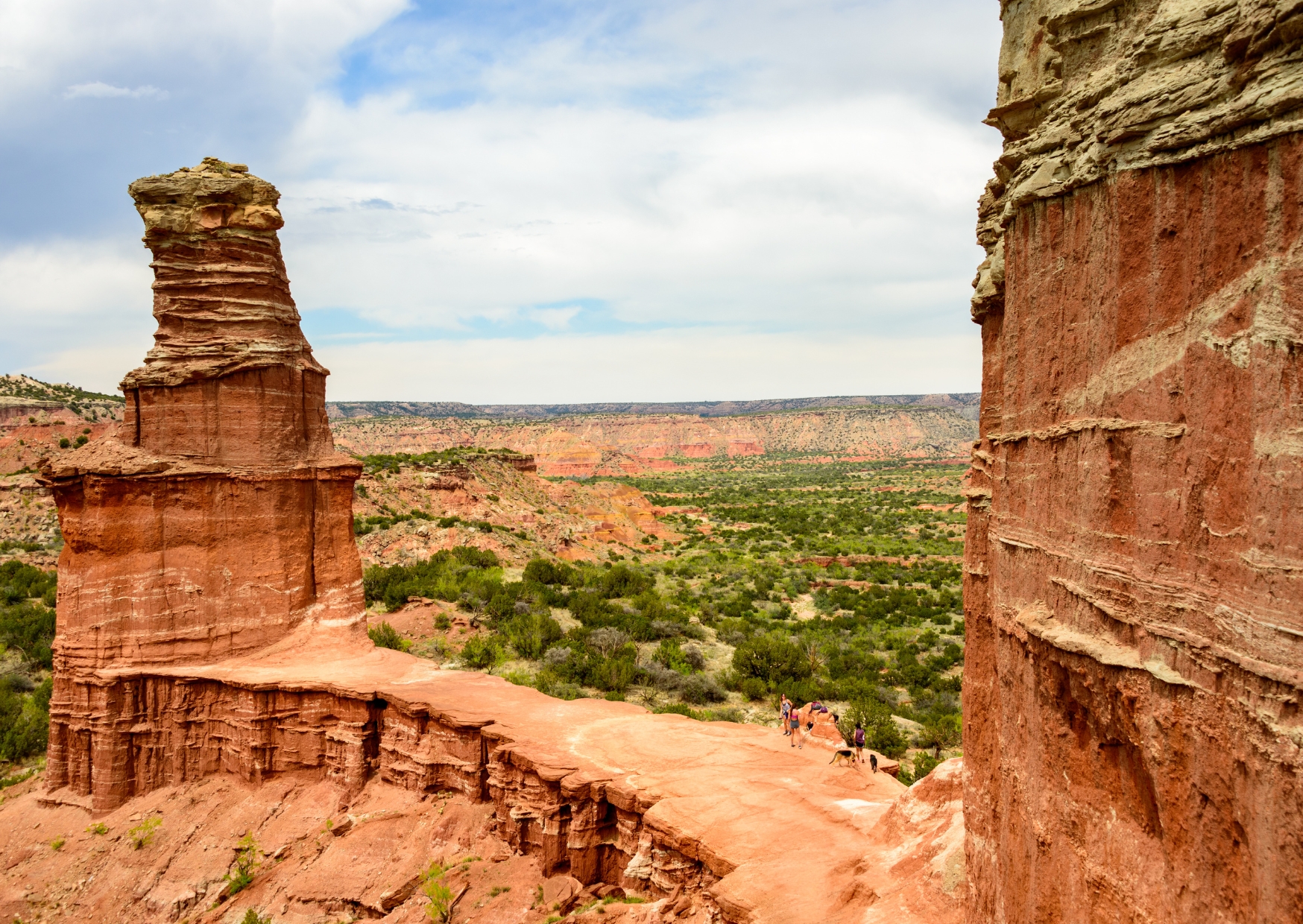 Palo duro | Campers Amerika