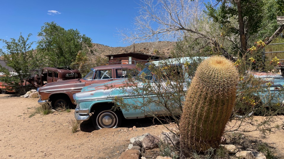Cactus Route 66