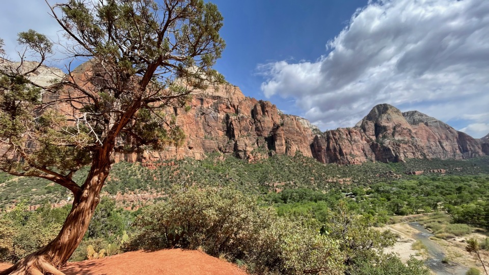 Zion National Park Uitzicht | Campers Amerika