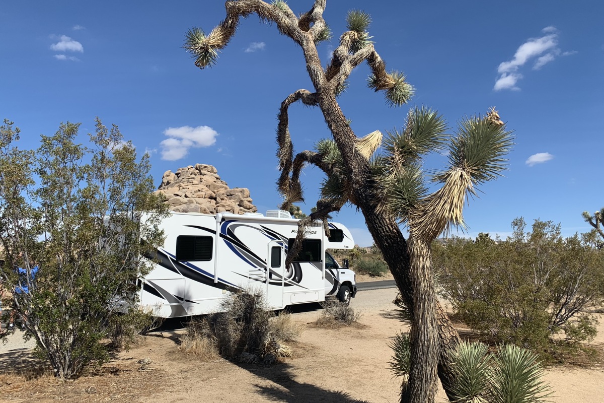 Joshua Tree National Park El Monte camper | Campers Amerika